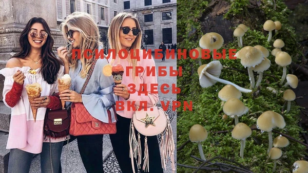MESCALINE Майский